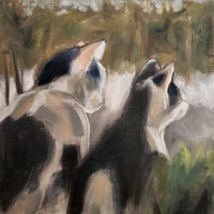 Bird Watching by Pam Jackson