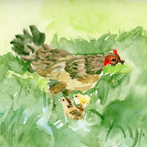 Waimea Chickens by Temo