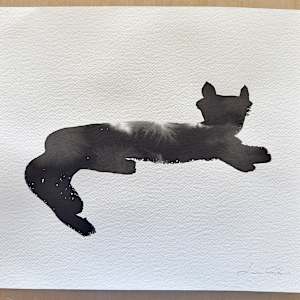 Cat 2 by Lucie Galvin 