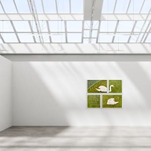 Algae by Lucie Galvin 