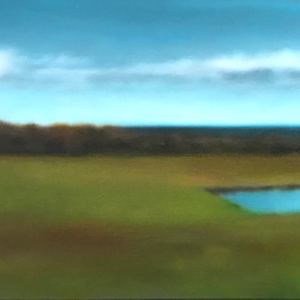 Sea Beyond Field by Christie Scheele 