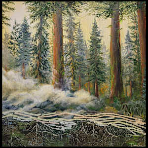 The Trees Talk by Debra Sue Solecki