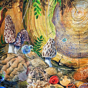 Forage by Debra Sue Solecki  Image: Detail "Forage"