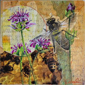 Bee Balm by Debra Sue Solecki