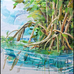 Into the Mangroves by Debra Sue Solecki, Image 1.