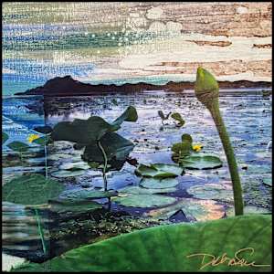 Fresh Water Flight by Debra Sue Solecki, Image 2.