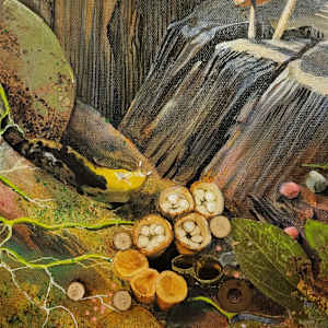 de Composition by Debra Sue Solecki 
