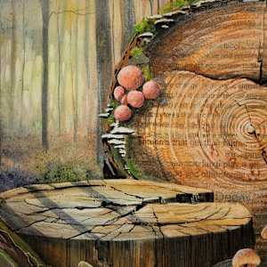 de Composition by Debra Sue Solecki 