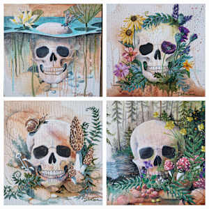 Life Cycle - Morels by Debra Sue Solecki  Image: Life Cycle Collection