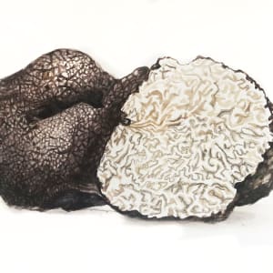 Black Truffle by Julia Wolinsky