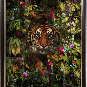 Iain Alexander by Iain Alexander