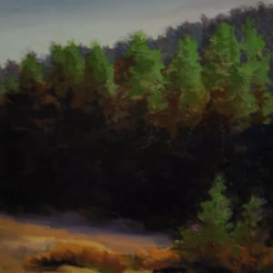 Twilight off Dill Road by Rosie Brouse Fine Art