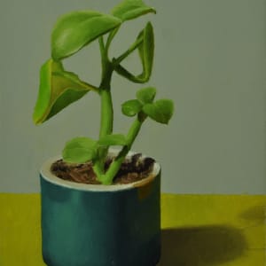 Bexx's Succulent by Rosie Brouse Fine Art