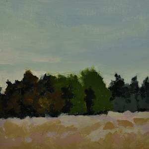 Evening Meadow on Lopez by Rosie Brouse Fine Art