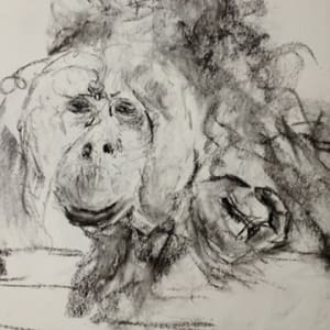 Orangutan by Rosie Brouse Fine Art