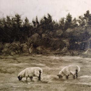 Sheep by Rosie Brouse Fine Art