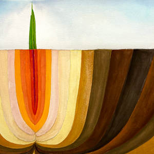 Spring by Virginia Shepley