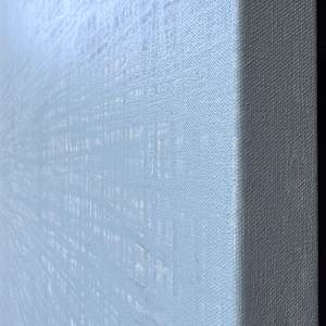 Salvia by Scott R. Froehlich 