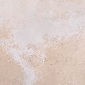 Ponderosa by Scott R. Froehlich