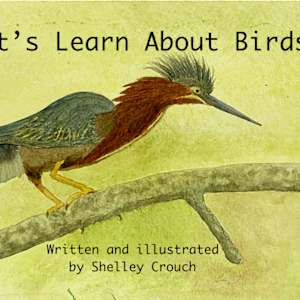 Let's Learn About Birds by Shelley Crouch