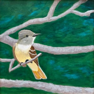 Elusive Flycatcher (Great Crested Flycatcher) by Shelley Crouch