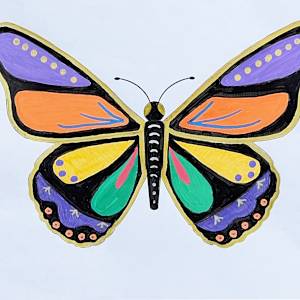 Radiant Metamorphosis (Front) by Shelley Crouch 