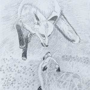 Fantastic Mr. Fox by Shelley Crouch