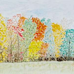 Field Notes from Autumn by Shelley Crouch