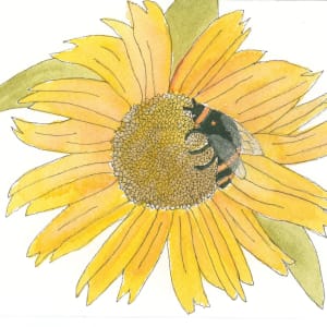 Bumblbee on a Sunflower by Shelley Crouch