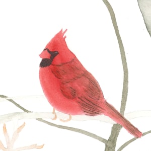 Cardinal by Shelley Crouch