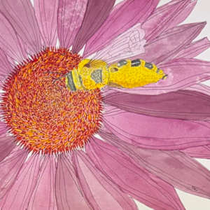 Pollen Buffet by Shelley Crouch, Image 1.