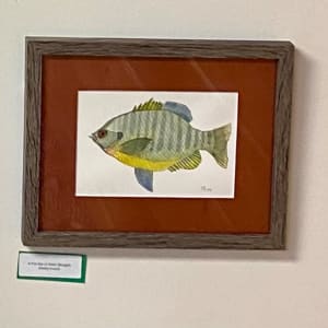 A Fish Out of Water (Bluegill) by Shelley Crouch  Image: at Ballard