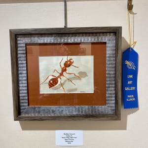 Don’t Play With Fire (Red Imported Fire Ant) by Shelley Crouch 