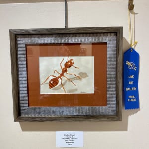 Don’t Play With Fire (Red Imported Fire Ant) by Shelley Crouch  Image: at Link