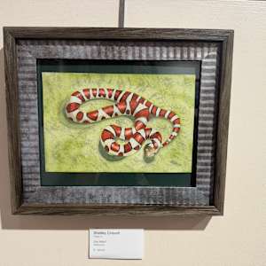 Got Milk? (Eastern Milksnake) by Shelley Crouch 