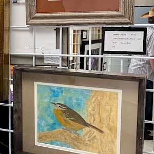 Carolina on My Mind (Carolina Wren) by Shelley Crouch 