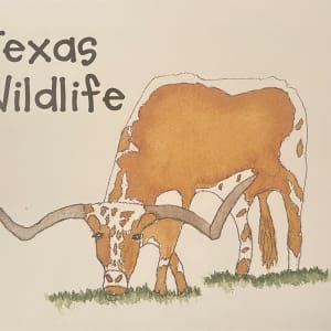 Texas Wildlife by Shelley Crouch