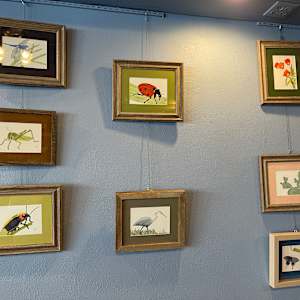 Metamorphosis by Shelley Crouch 