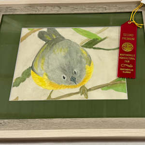 Feelin’ Fluffy (Nashville Warbler) by Shelley Crouch 