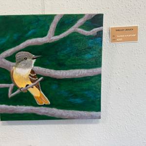Elusive Flycatcher (Great Crested Flycatcher) by Shelley Crouch  Image: at The Vault