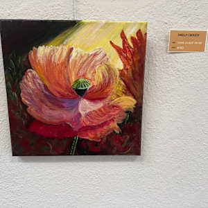 Shine a Light on Me by Shelley Crouch 