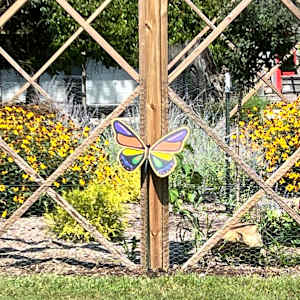 Radiant Metamorphosis (Front) by Shelley Crouch 