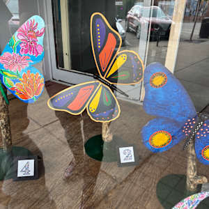 Radiant Metamorphosis (Front) by Shelley Crouch 