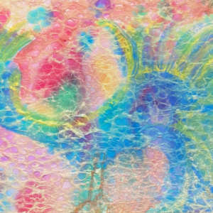 Lilly Peacockster by Shelley Crouch
