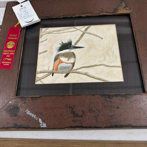 Getting Ready to Belt (Belted Kingfisher) by Shelley Crouch 