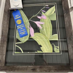 Moonlight Hostas by Shelley Crouch 