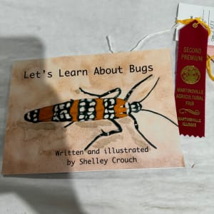 Let's Learn About Bugs by Shelley Crouch 