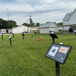 Let's Learn About Bugs by Shelley Crouch 