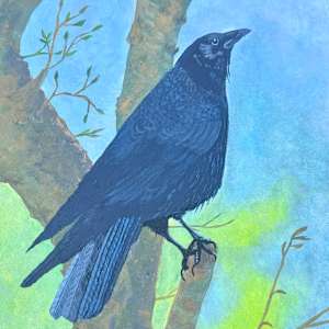 A Crow’s Eye View by Shelley Crouch, Image 1.