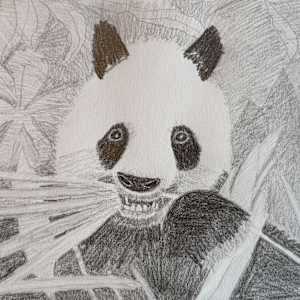 Nom Nom by Shelley Crouch